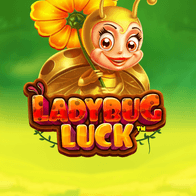 Ladybug Luck